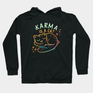 Karma Is A Cat Hoodie